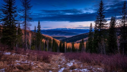 НОЧНОЙ ПРОГНОЗ от Татьяны Ивановой