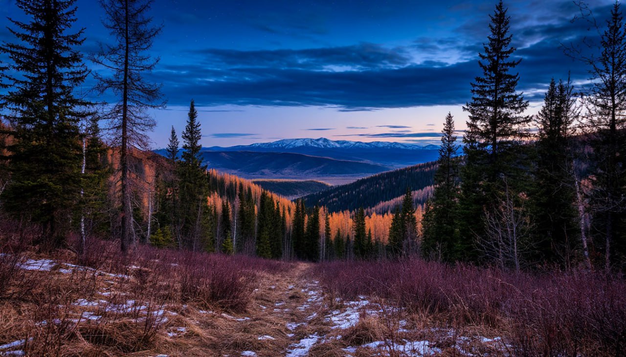 НОЧНОЙ ПРОГНОЗ от Татьяны Ивановой