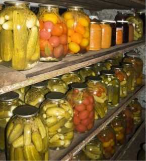 Как защитить свой погреб от нежданных гостей: простые советы