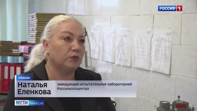 В Хакасии формируют семенную базу зерновых и бобовых культур