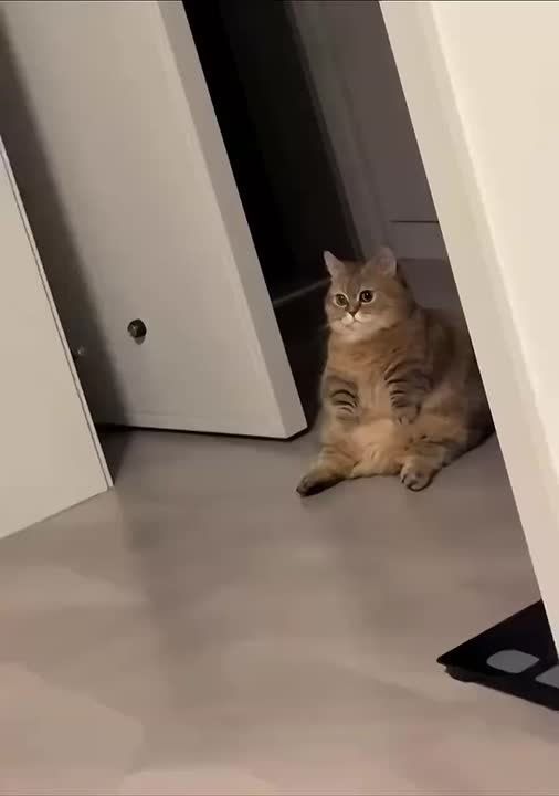 Доброе утро, Хакасия!. Наш редактор сайта всё ещё не понимает, почему так быстро закончились выходные