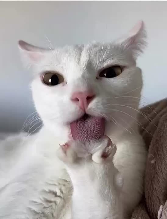 Доброе утро, Хакасия!. Приводим себя в порядок и спешим на работу!