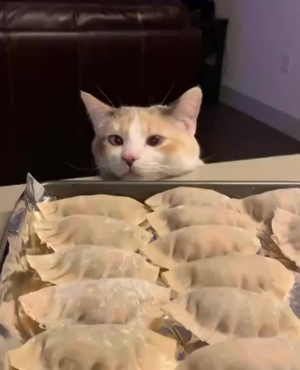 Доброе утро, Хакасия!