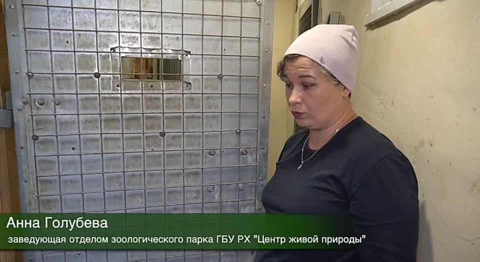 Начнём день с самого милого видео