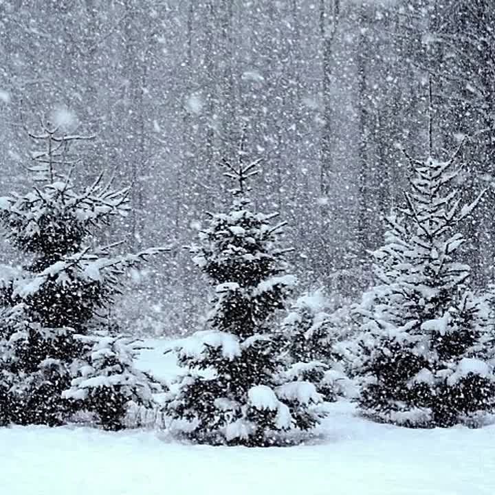 Заканчиваются последние дни ноября