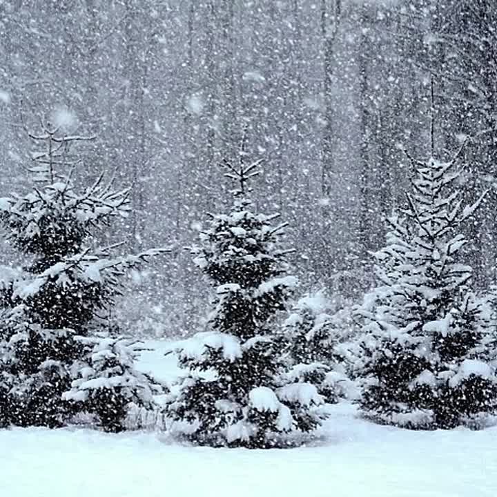 Заканчиваются последние дни ноября