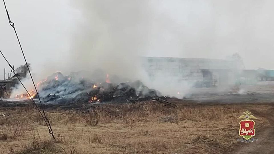Поджигателем, спалившим более 80 тонн сена в Первомайском оказался 16-летний подросток