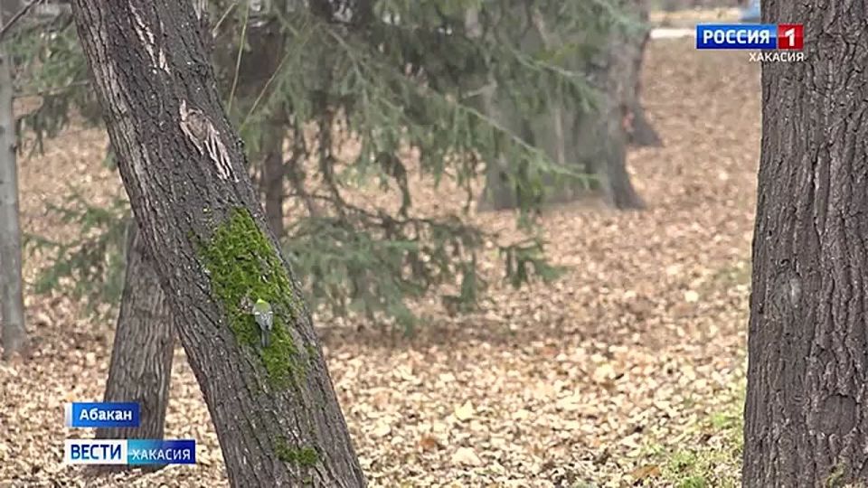 Зима близко! Синоптики составили прогноз на декабрь