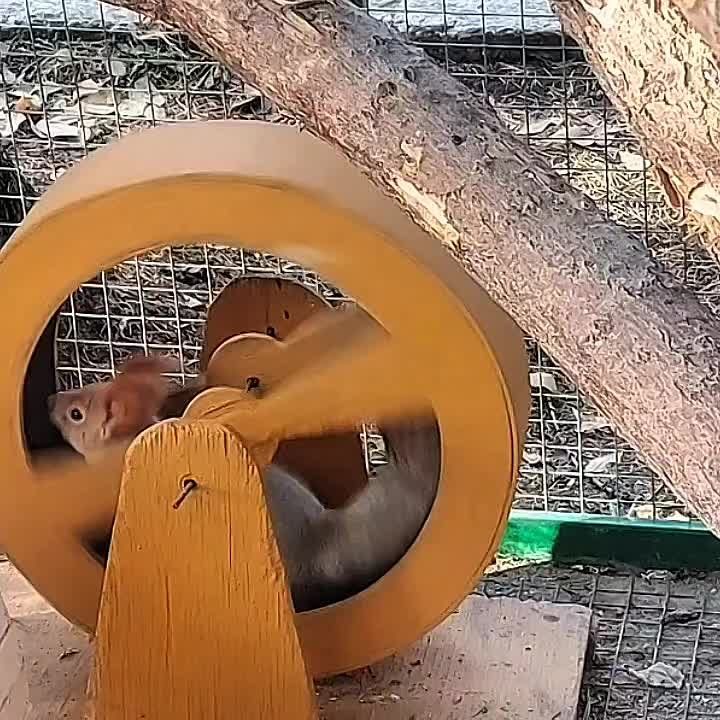 Друзья, всё, тормозим. Выключаем свой режим "белки в колесе"