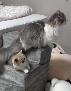 Доброе утро, Хакасия!. Всех с началом зимы и новой рабочей неделей!