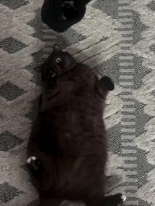 Доброе утро, Хакасия!