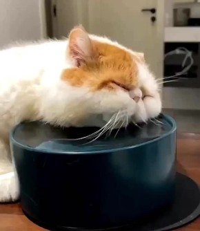 Доброе утро, Хакасия!