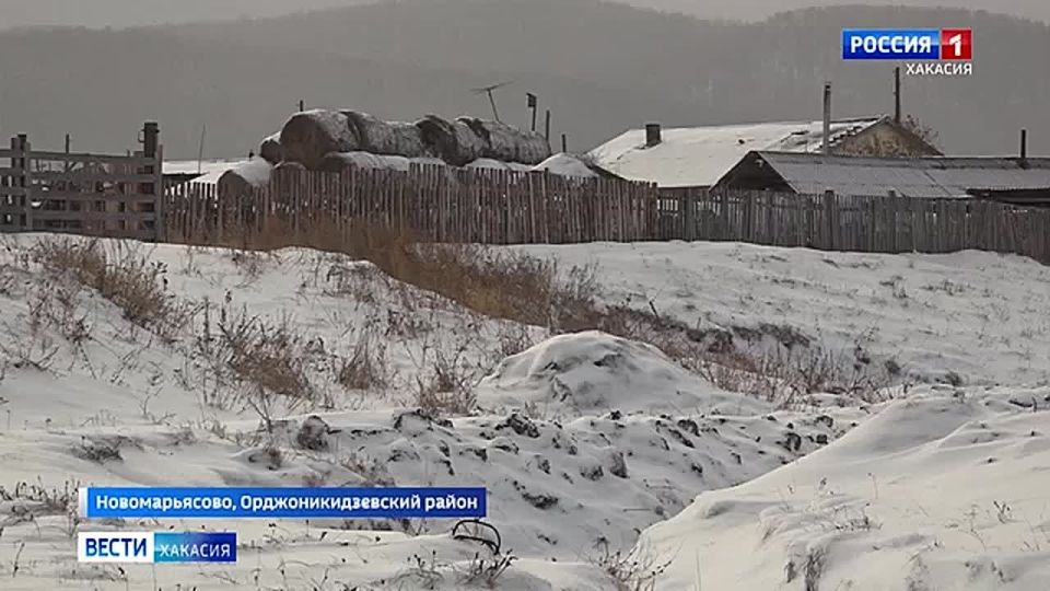 � ���� ������������� �������� ������� ����� ��������