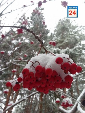 До -30° и ниже: в Хакасию придут морозы