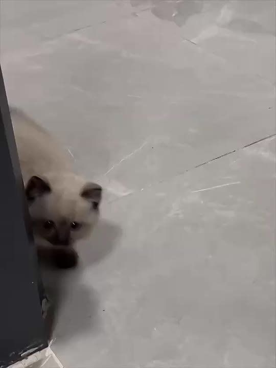 ������ ����, �������!. �������� ����� ������� ������