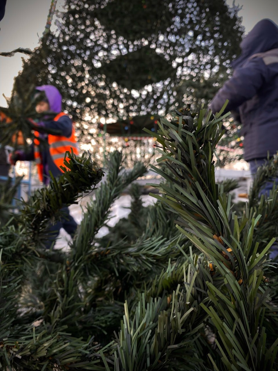 На главной городской ёлке в Черногорском парке начался монтаж еловых веток На главной городской ёлке в Черногорском парке начался монтаж еловых веток
