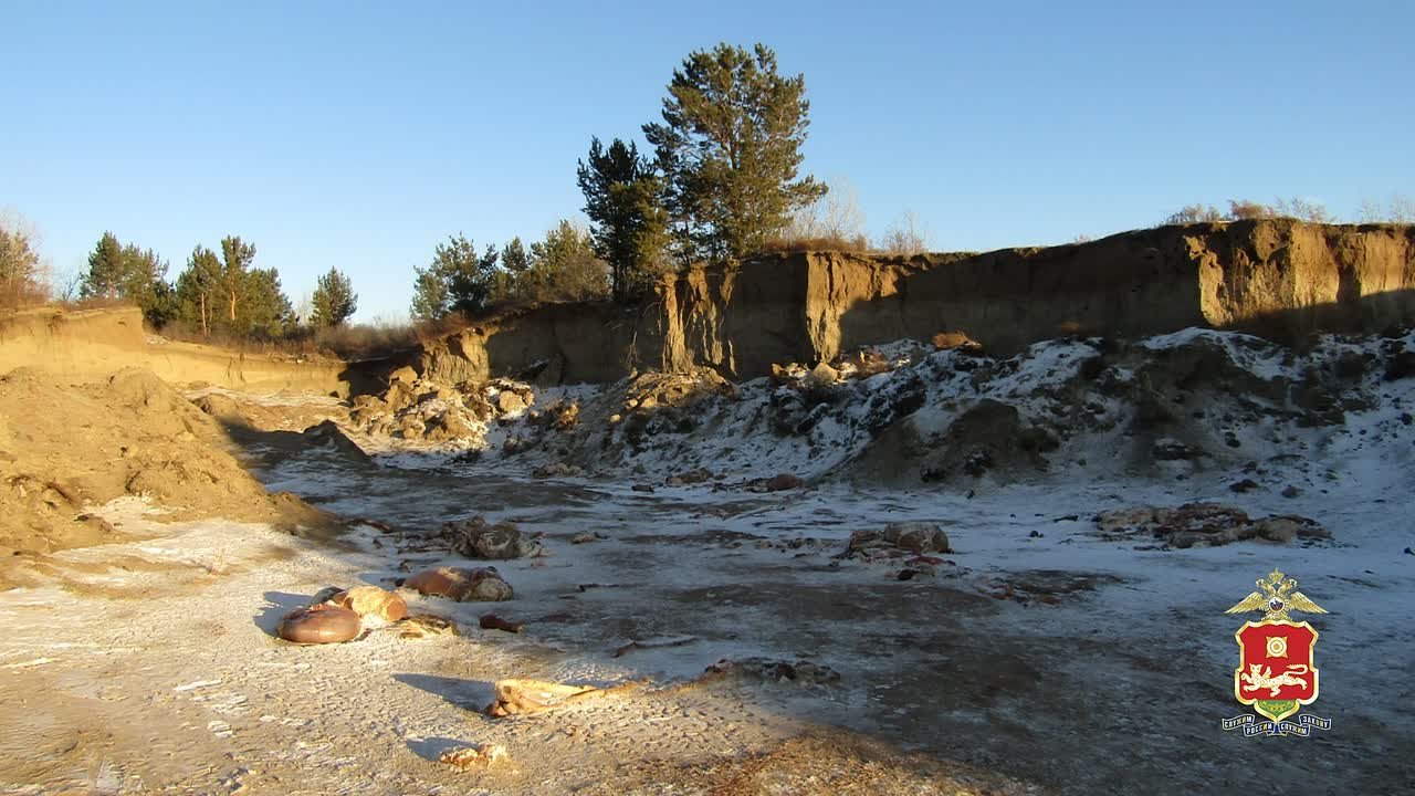 Полицейские Хакасии задержали подозреваемых в хищении 14 коров на сумму более 1,4 млн рублей