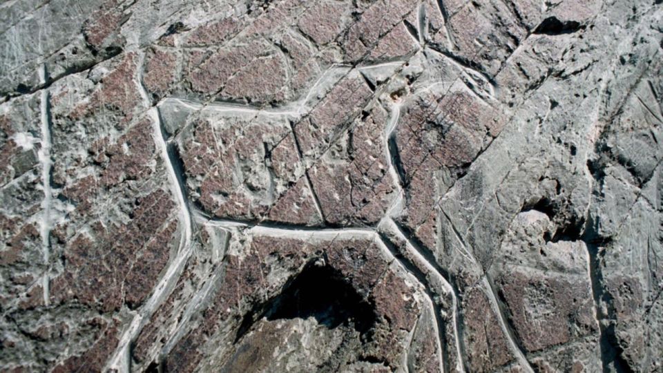 � ������ ������� ������ ������������ ���� �� ������ ������� ���������� �����������