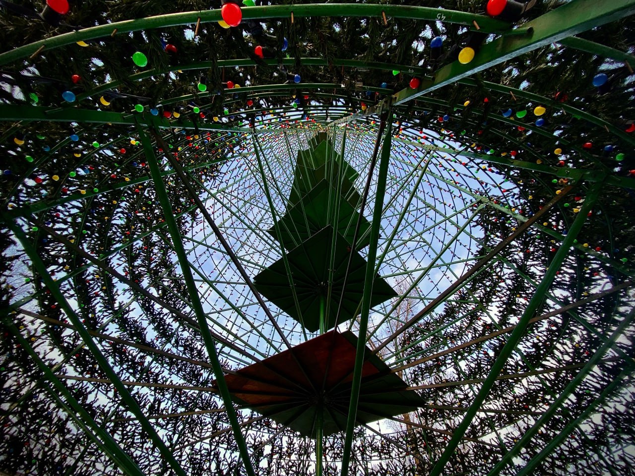 На главной городской ёлке в Черногорском парке начался монтаж еловых веток На главной городской ёлке в Черногорском парке начался монтаж еловых веток