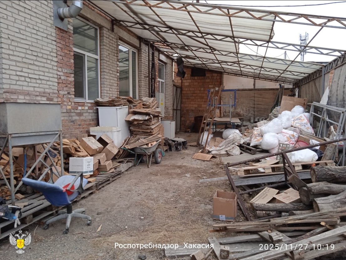 Повсюду крысы и их экскременты: на 3 месяца суд прикрыл пекарню на улице Аскизская в Абакане за грубые нарушения и антисанитарию Повсюду крысы и их экскременты: на 3 месяца суд прикрыл пекарню на улице Аскизская в Абакане за грубые нарушения и антисанитарию