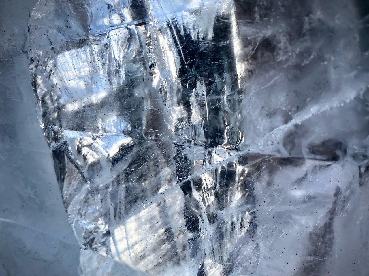 На главной городской ёлке в Черногорском парке начался монтаж еловых веток На главной городской ёлке в Черногорском парке начался монтаж еловых веток