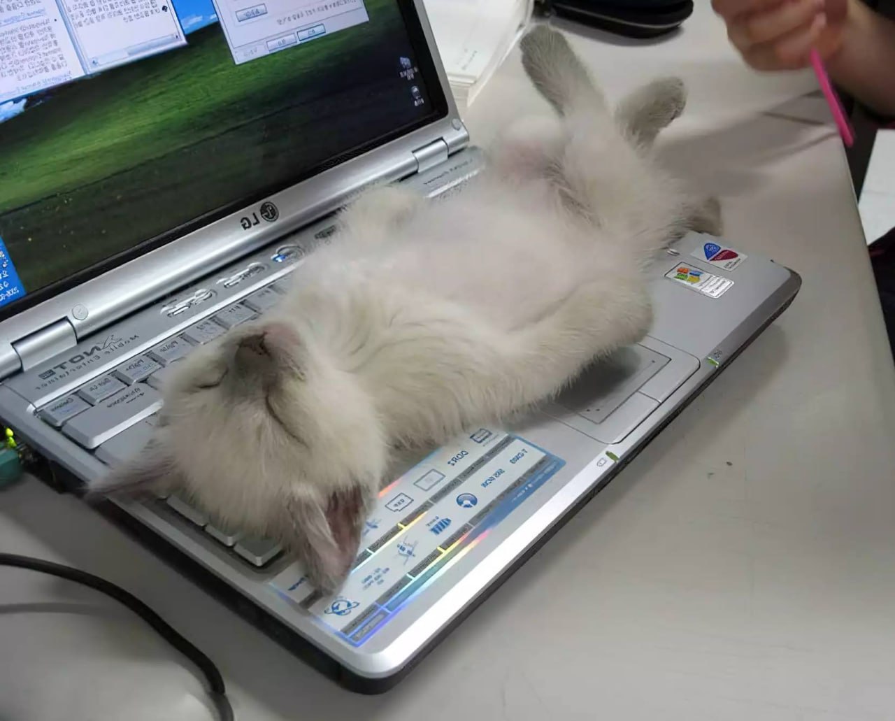 Регулярный дневной сон замедляет старение и увеличивает объём мозга