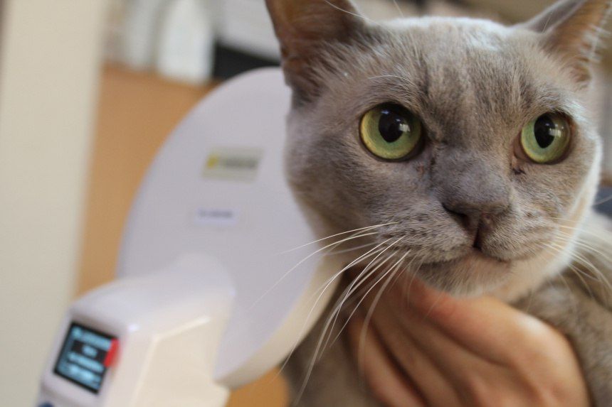 ���������� ��� �� ������� ����������� ����� ��� � ��������