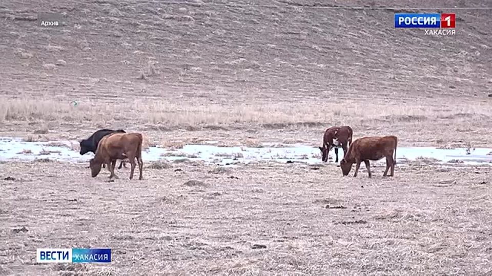 ����� ����������� � ���� � ����� 14 ����� � ������� ������