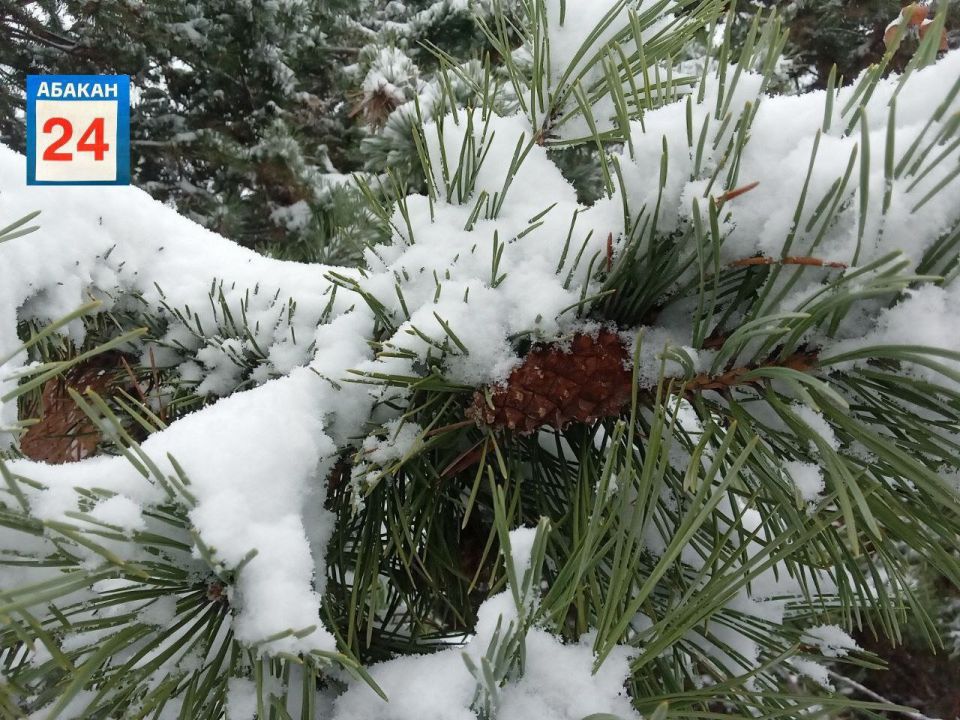Снег по Хакасии прогнозируют завтра метеорологи