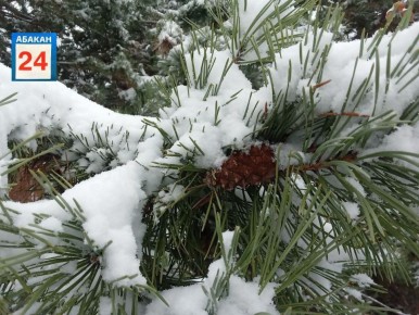 Снег по Хакасии прогнозируют завтра метеорологи