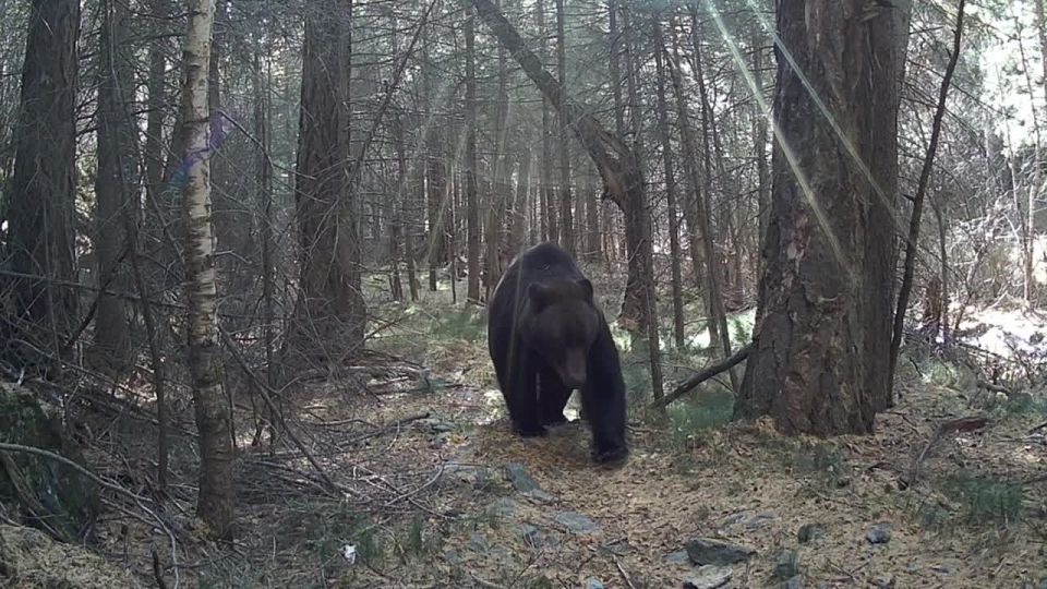 ���� ������� ������� �������� ������ ������� ����� ������