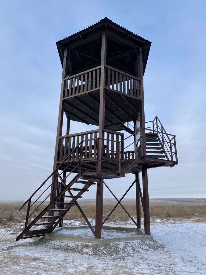 На территории заказника «Урочище Трехозерки» появилась вышка для наблюдения за птицами