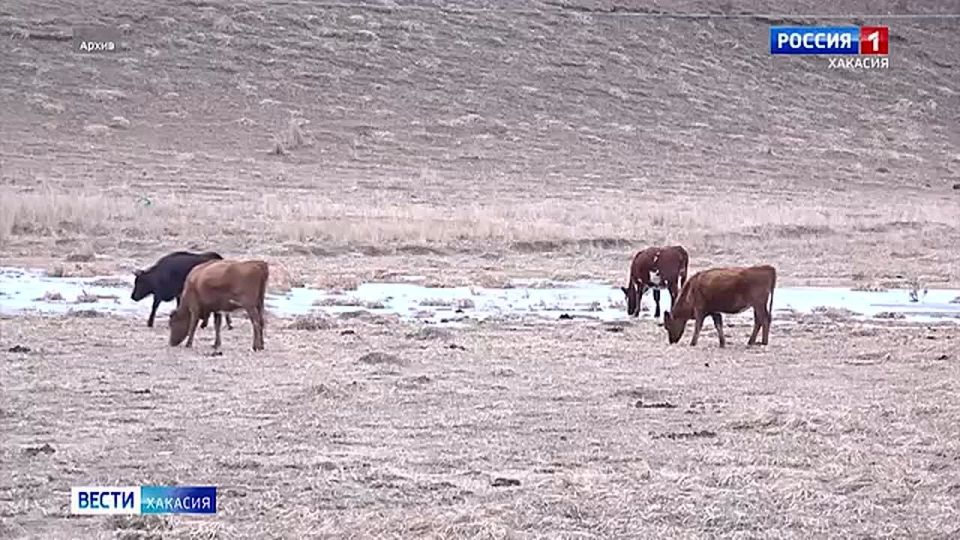 ��� ������ �������� � ����������� ��������������� ������ ��������� �����?