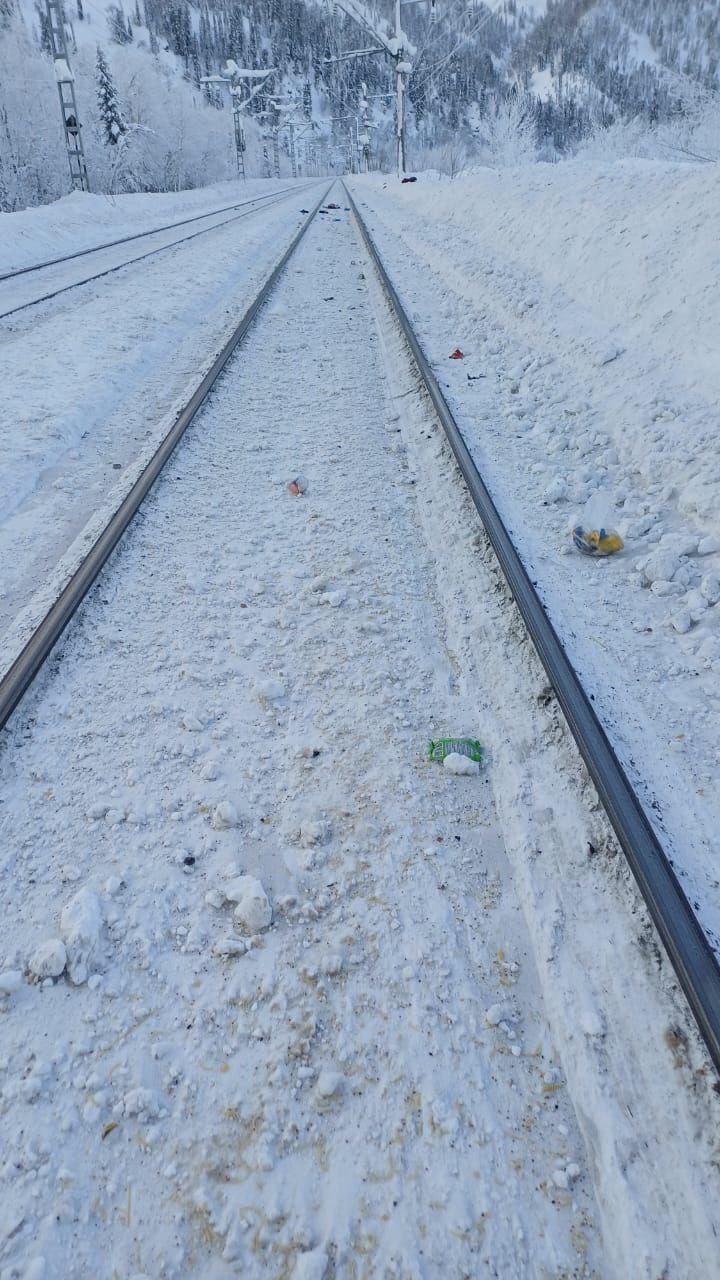 Московского туриста сбил грузовой состав на границе Хакасии и Кузбасса