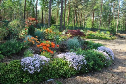 Как правильно планировать загородный участок: советы от опытных садоводов