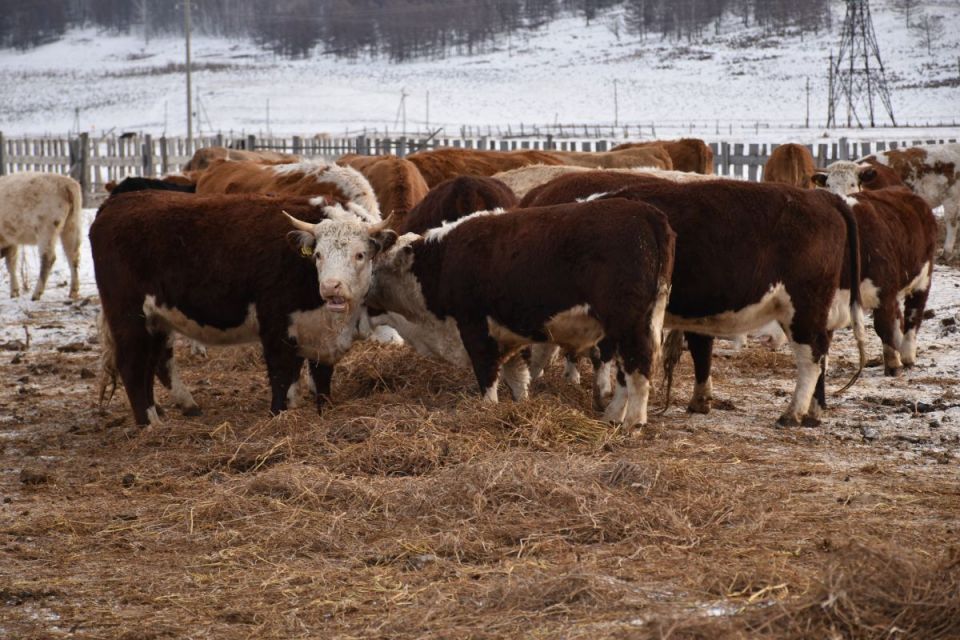 ������ ���������� ������ �������������� � ������� �������� �������������� � ����