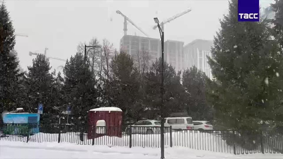 Прибытие 10 рейсов задерживается в новосибирском аэропорту Толмачево на фоне снегопада