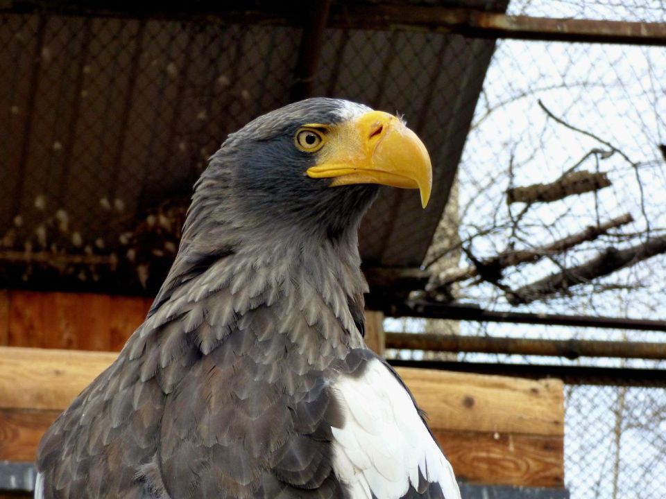 � �� ����� � ������������?