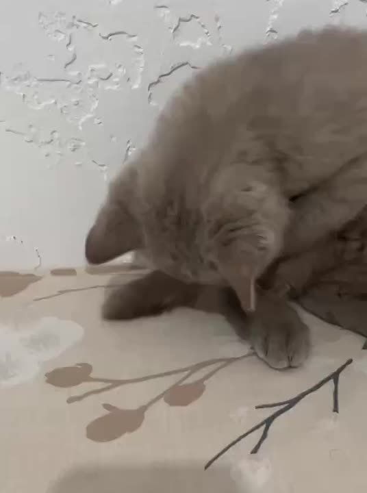 Доброе утро, Хакасия!. Всех с началом новой рабочей недели!