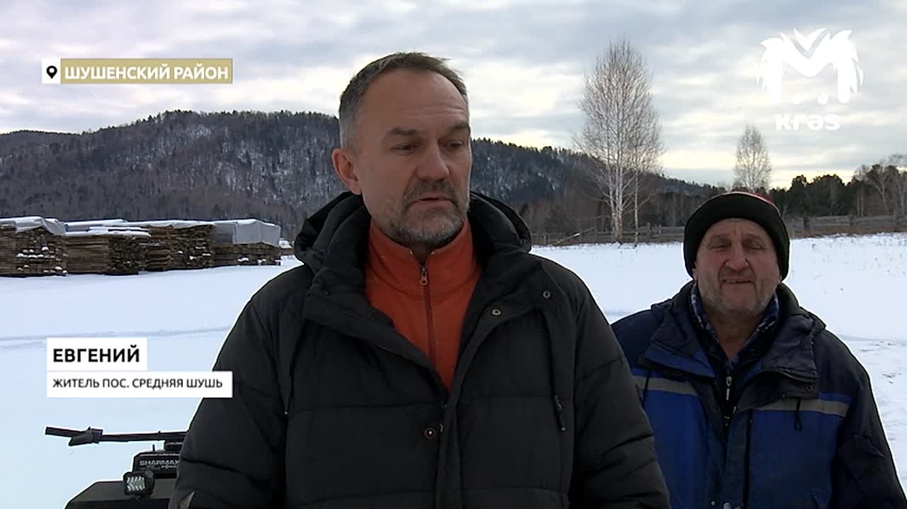 Ценные кедры уничтожены лесным пожаром в Шушенском районе