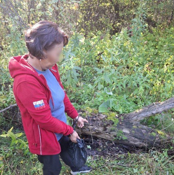 � ������� ���������� ���������� �������� �� �������� ����������