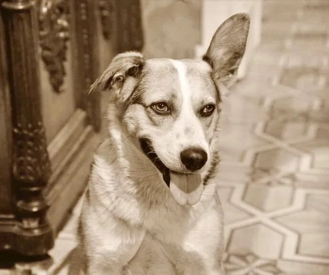 Лень может передаваться по наследству