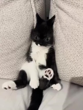 ������ ����, �������!