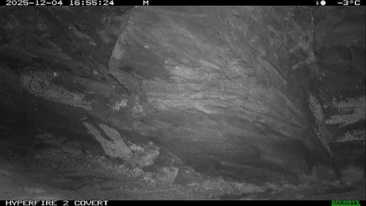 ������������ ������� �� ����� ���� � ��� �������� ������� ����: ���������� ����������� ���������� ���������� ������ ������� �� ����� �����