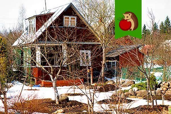 Как защитить свой огород перед наступлением морозов: советы по зимнему укрытию