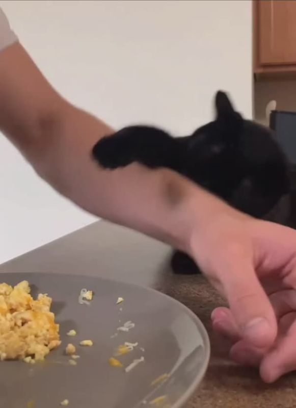 ������ ����, �������!