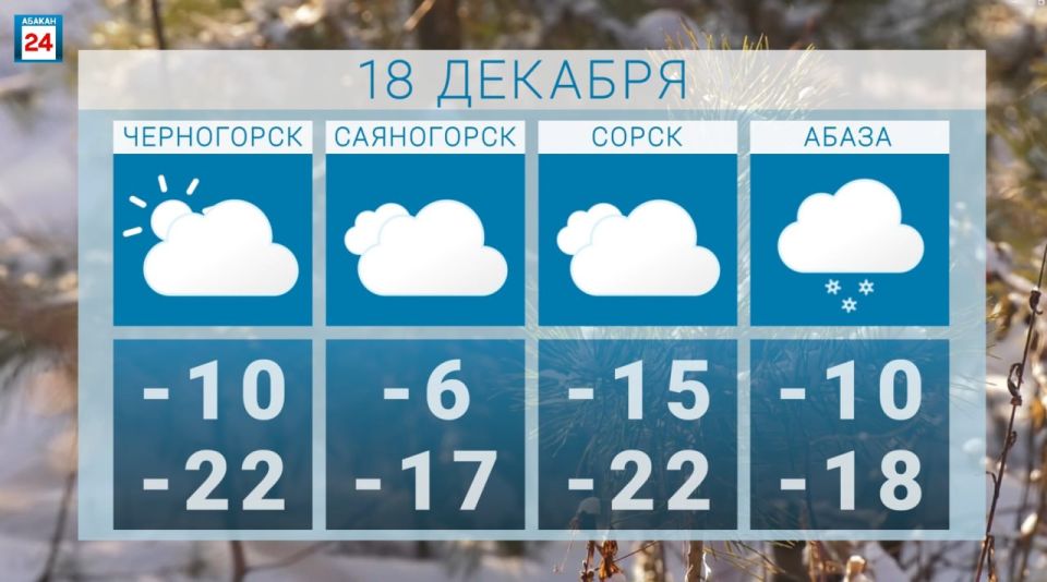 ������ ����, ������. ������ �������� ��� ���, ���������� ������ � ����� ���� �������� ������� ������24 Telegram | MAX