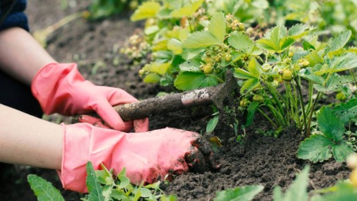 �������� ��� � ��������� ����� ��������: ������� ������ ������������� ���� �������