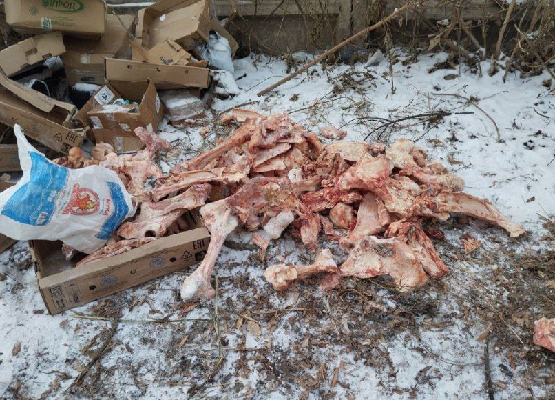 Груда костей возмутила жителей Абакана