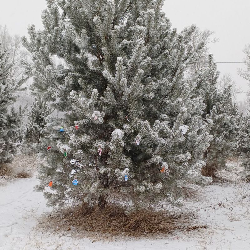 Уважаемые предприниматели, производители и мастера! Дирекция Парка Культуры и отдыха предлагает вам отличную возможность встроить свой бизнес в самое оживлённое и праздничное пространство города на целый месяц и принять...